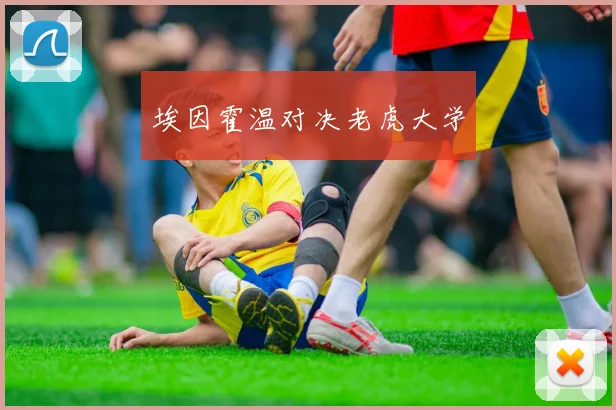 埃因霍温对决老虎大学