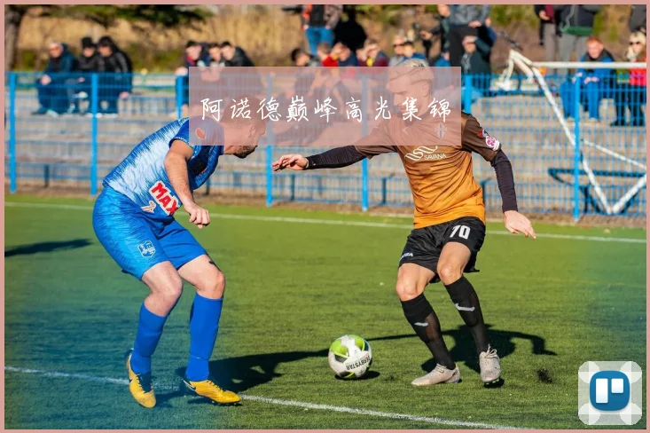 阿诺德巅峰高光集锦