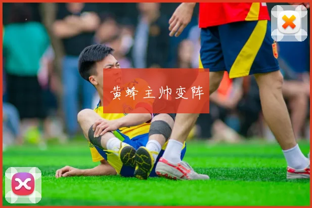 黄蜂主帅变阵