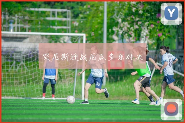突尼斯迎战厄瓜多尔对决