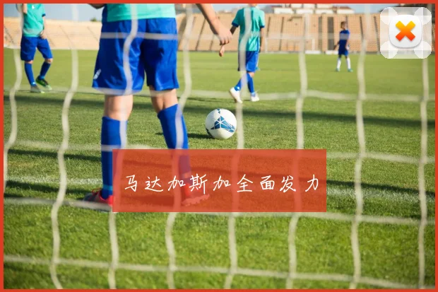 马达加斯加全面发力