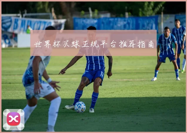 世界杯买球正规平台推荐指南