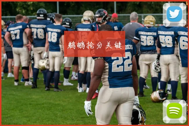 鹈鹕抢分关键