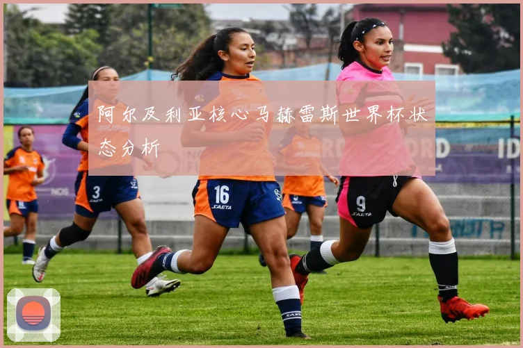 阿尔及利亚核心马赫雷斯世界杯状态分析