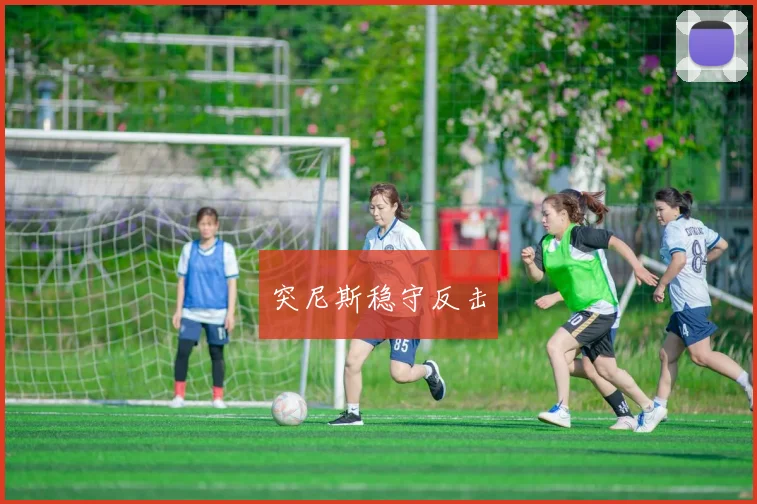 突尼斯稳守反击