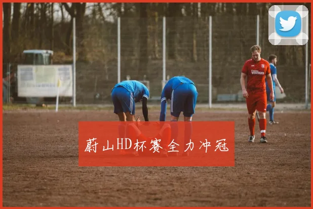 蔚山HD杯赛全力冲冠