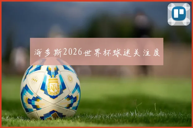海多斯2026世界杯球迷关注度
