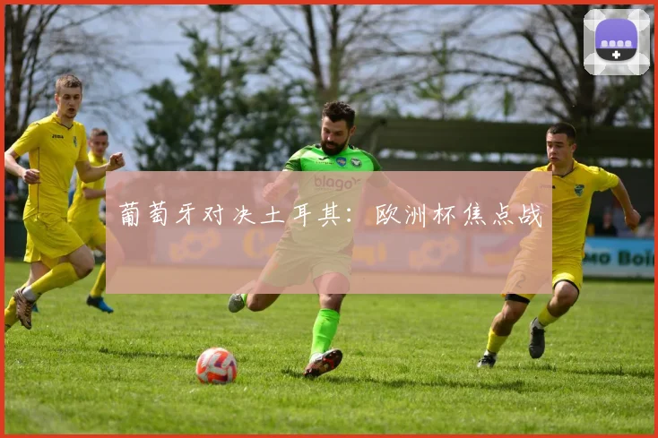 葡萄牙对决土耳其：欧洲杯焦点战