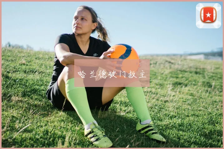 哈兰德破门救主
