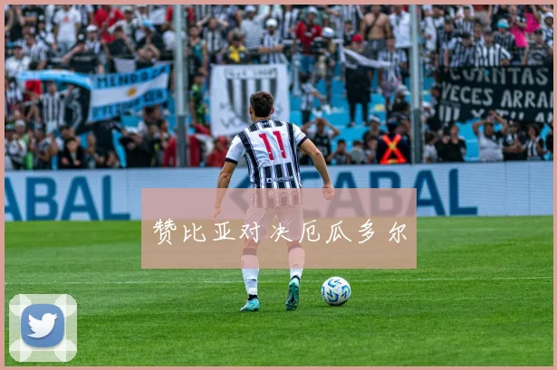 赞比亚对决厄瓜多尔