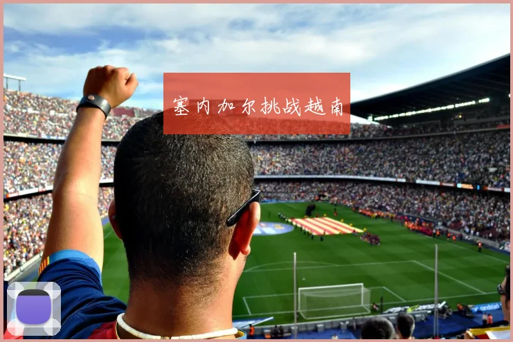 塞内加尔挑战越南