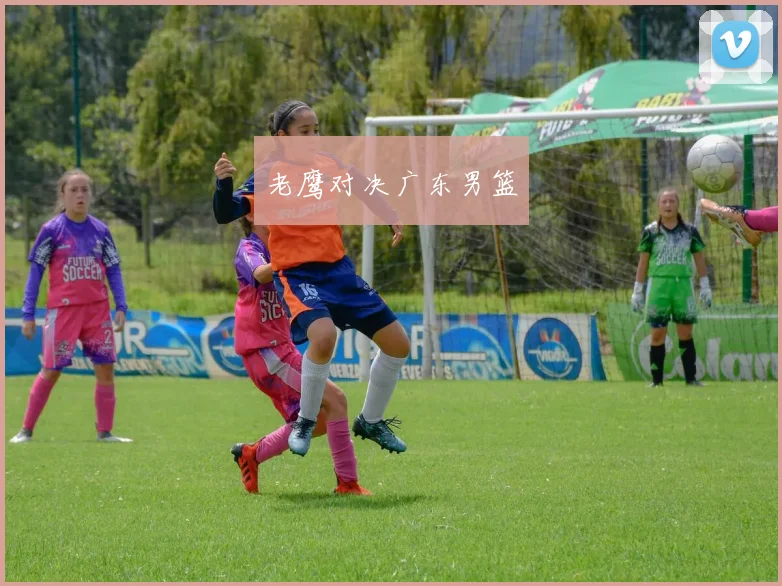 老鹰对决广东男篮