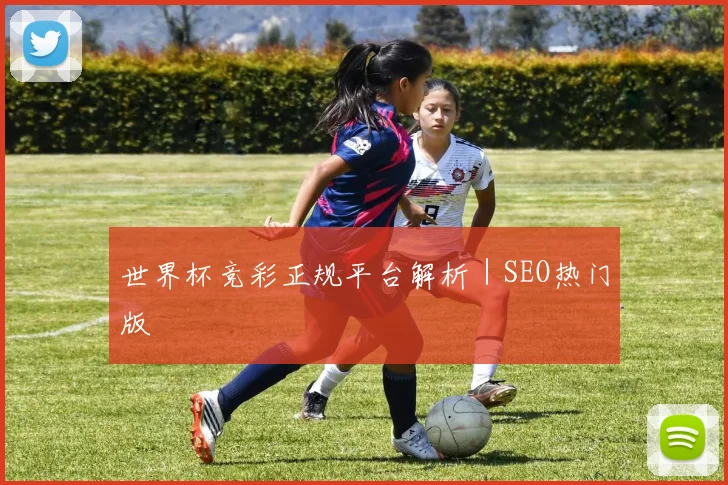 世界杯竞彩正规平台解析｜SEO热门版
