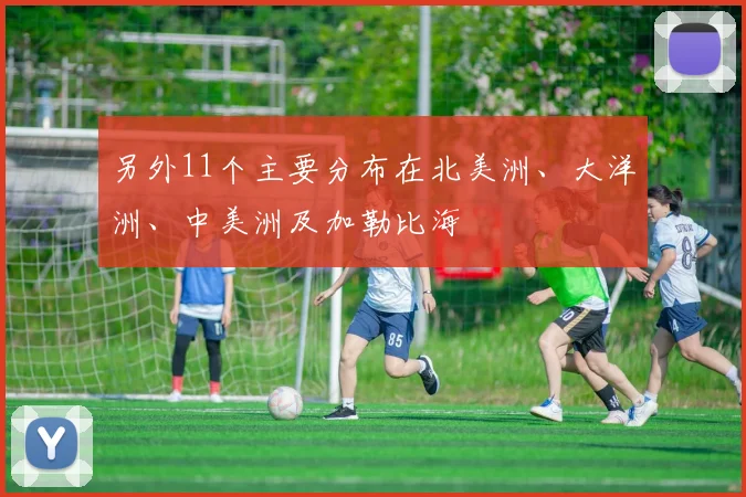另外11个主要分布在北美洲、大洋洲、中美洲及加勒比海