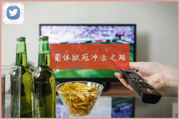 葡体欧冠冲击之路