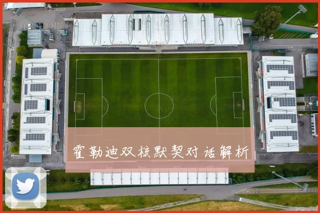 霍勒迪双核默契对话解析