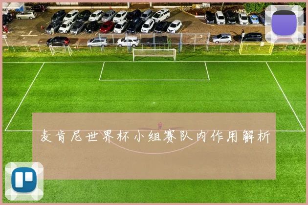 麦肯尼世界杯小组赛队内作用解析