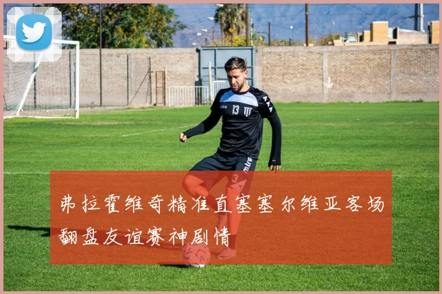 弗拉霍维奇精准直塞塞尔维亚客场翻盘友谊赛神剧情